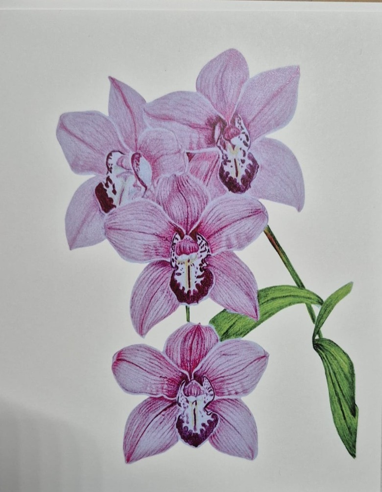 Resultado de alumna — acuarela de flores